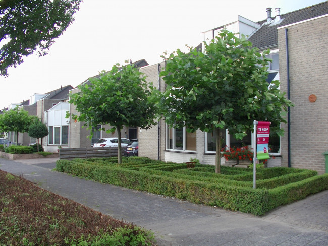 De buren zijn ten einde raad en hebben hun huis te koop gezet.