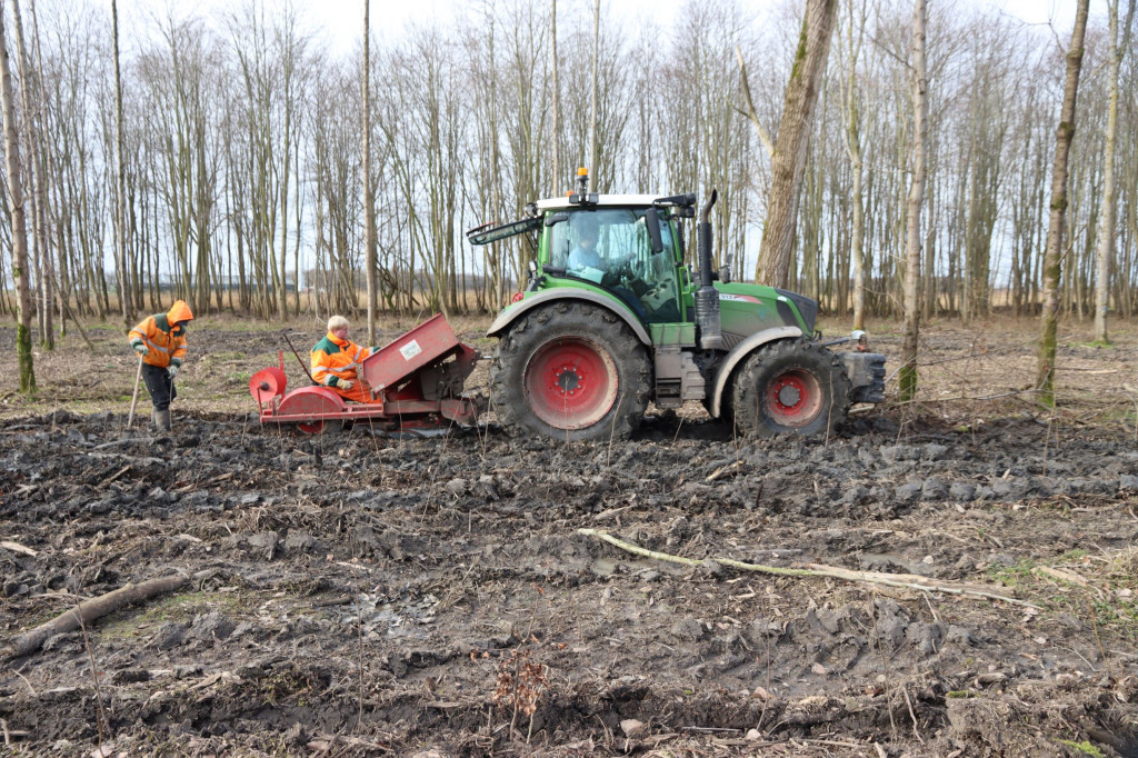 Ruim 160.000 bomen geplant in Horsterwold