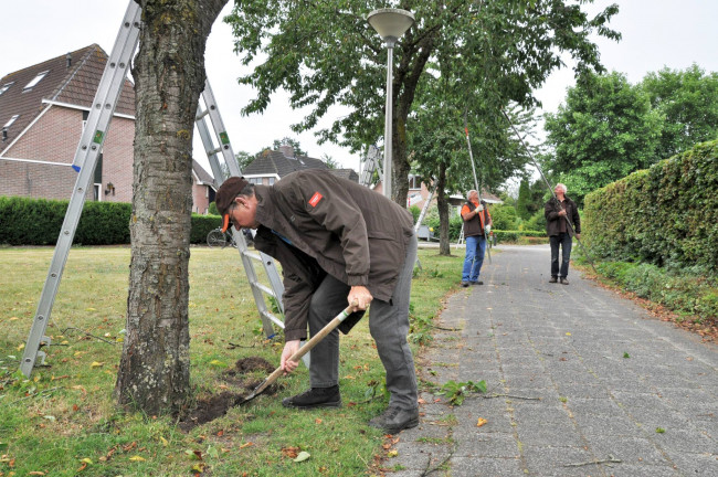 , https://brugnieuws.nl/uploads/69eb8d451c7954cf14e26e2c7798dd6dd7d12a3c.jpg