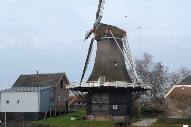 Snertactie Mölle van Bats