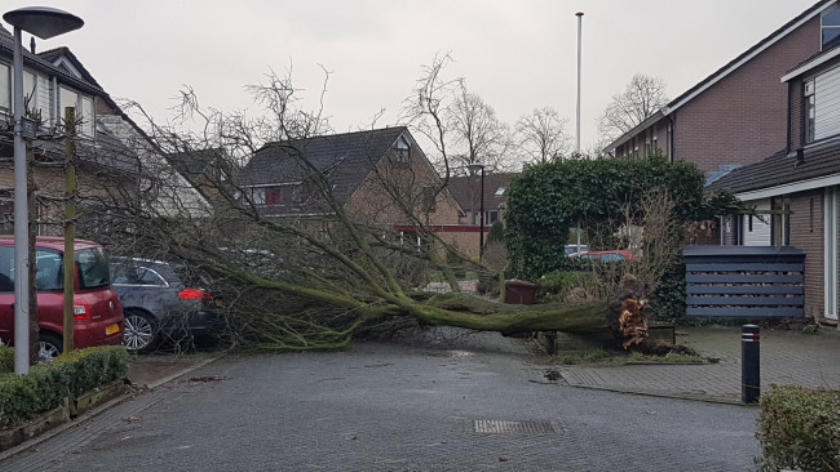 Stormschade aan De Peel., https://brugnieuws.nl/uploads/75a66bf8120e16ce8bc93bf209f10c601901fff9.jpeg
