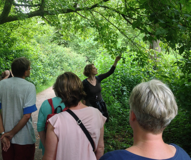 ErUit houdt natuurhistorische wandeling in het Engelse Werk