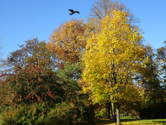 Herfsttinten