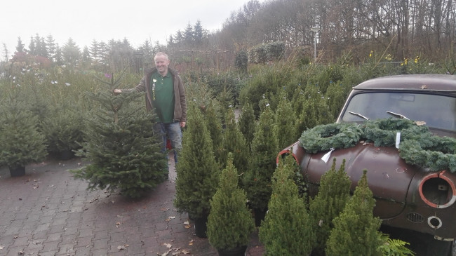 GroenRijk Hattem weer in de kerstsfeer