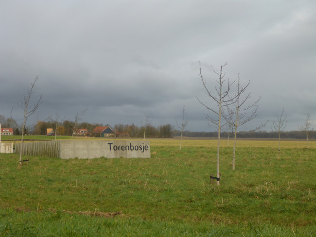 De walnotenboom