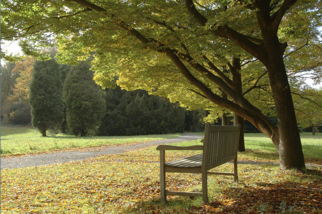 Kranenburg heeft plan voor natuurbegraafplaats