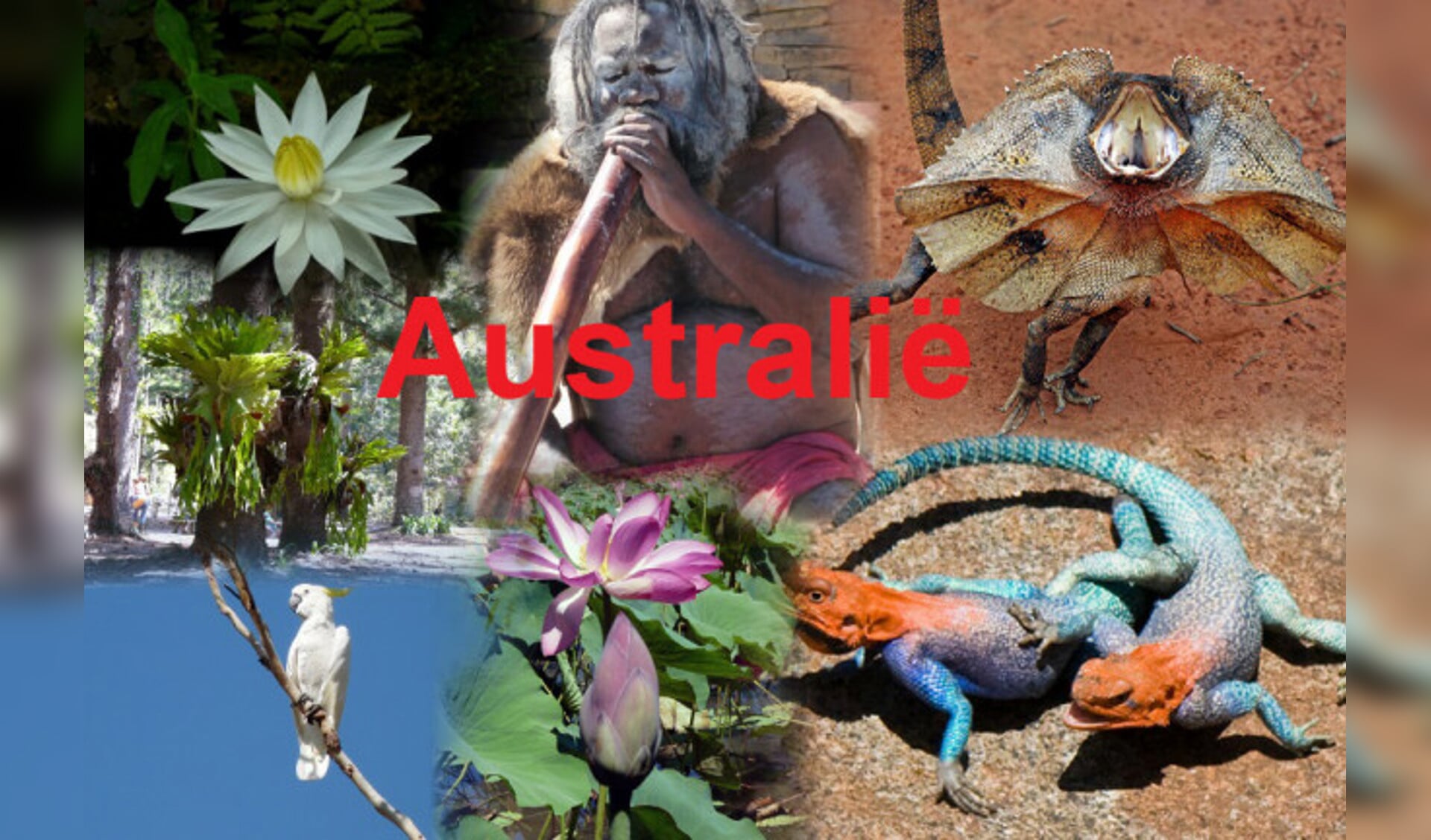 Presentatie over natuur in Australië.