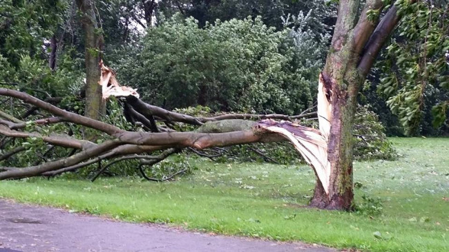 Gemeente heeft nog 2 weken nodig voor opruimen stormschade