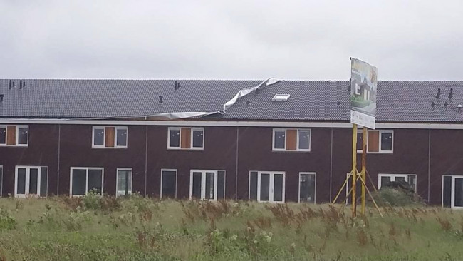 Stormschade in Dronten bestaat vooral uit omgewaaide bomen