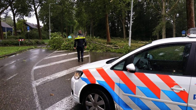 Gemeente adviseert dorpsbossen nog even te vermijden