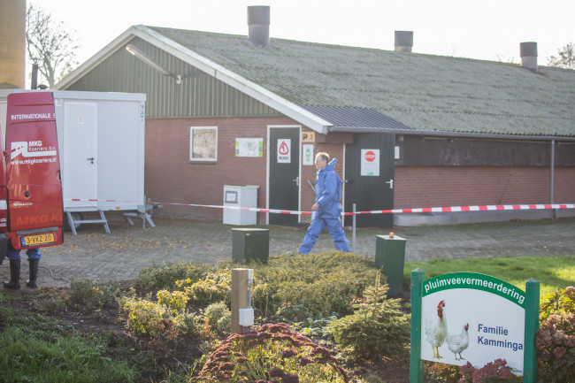 Geen vogelgriep in 10 kilometer-zone rondom Kamperveen