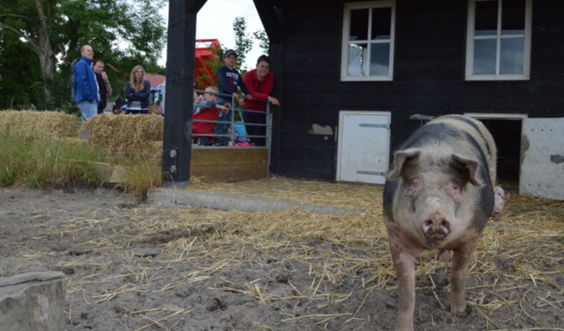 Boerderij Weidsicht heeft niet gepoetst voor open huis