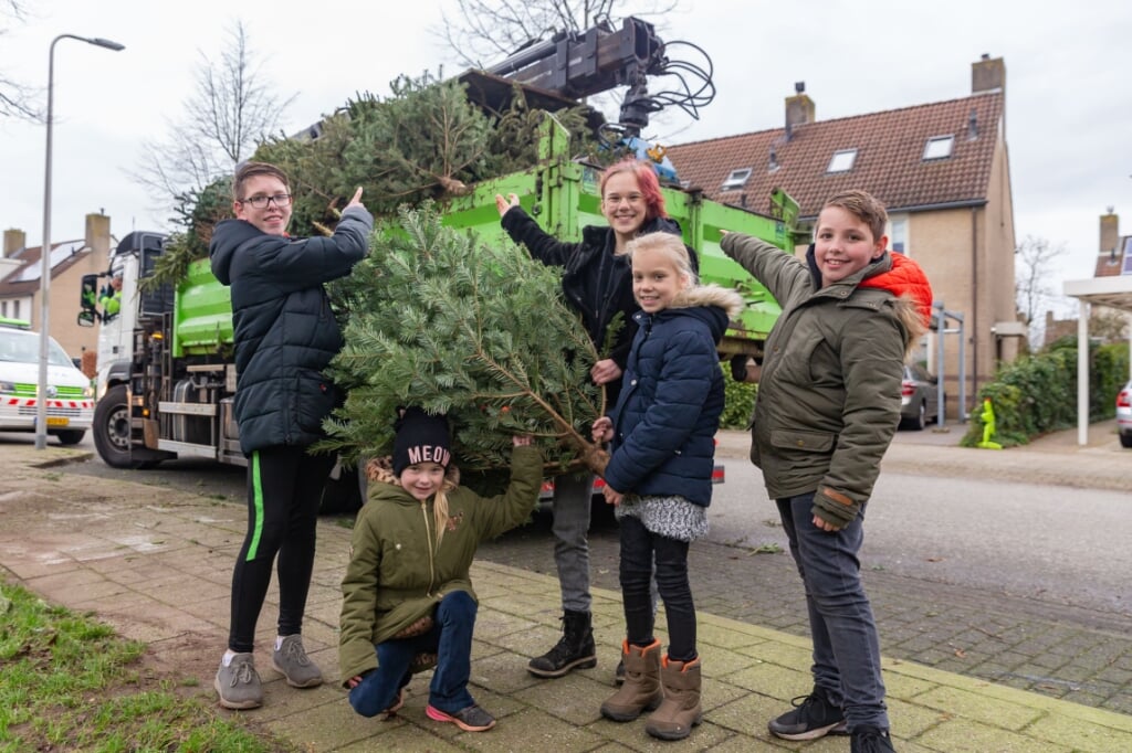 Deze actieve groep kinderen verzamelde maar liefst 240 kerstbomen. Dat betekende een volle vrachtwagen aan de Gedeputeerdenlaan.