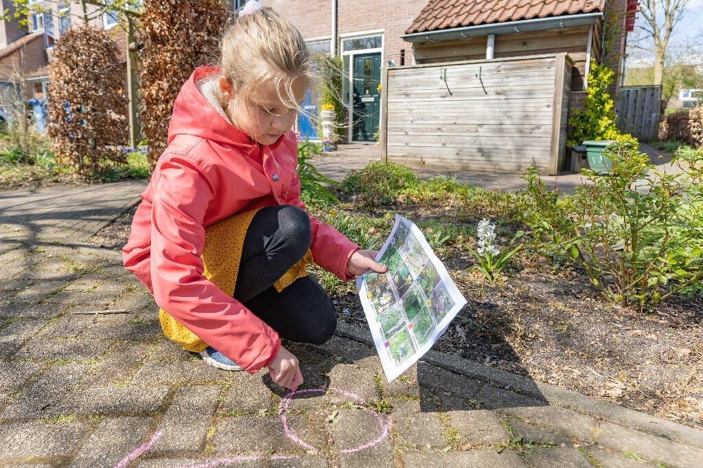 Kinderen van basisschool de Schatgraver doen mee met de Nationale Buitenlesdag. De Nationale Buitenlesdag is een initiatief van Jantje Beton en IVN Natuureducatie en wordt in Zwolle ondersteund door Natuur en Milieu Educatie makelaar van de gemeente.