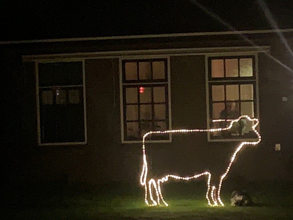De verlichte koe van Tinus in het donker