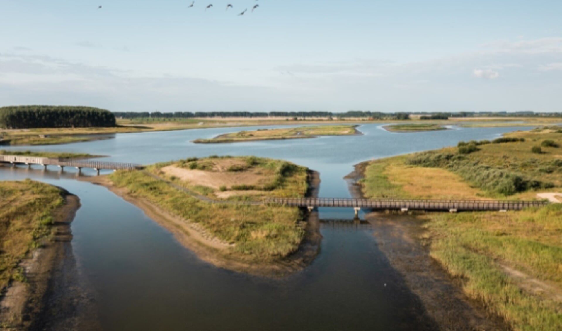 Waterdunen