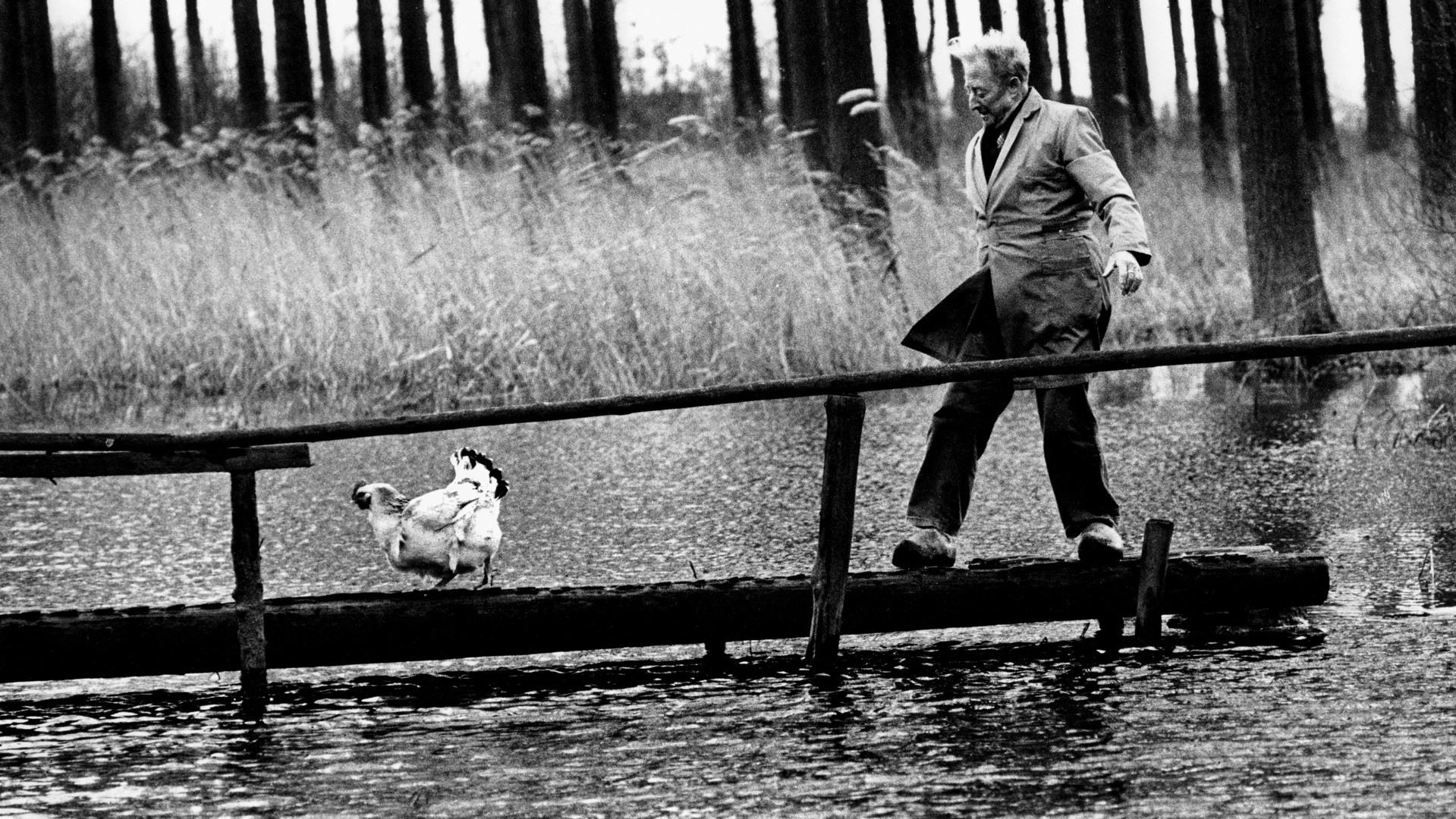Man met kip (Oostburg). (Foto: Peter Verdurmen)