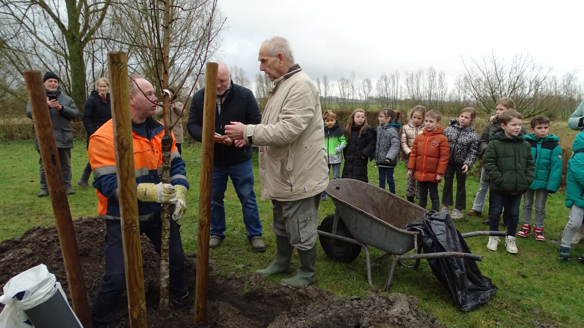 Kweker Frans Nauwelaerts plant de Biervlietse appelboom bij het Poortbos in Biervliet. (Foto: Cora Verhelst) 