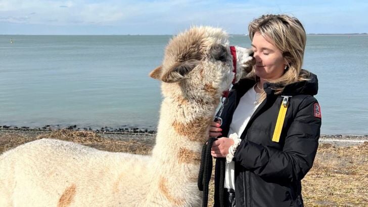 Effe een onderonsje met alpaca Jopie, ook wel "de boef" genoemd. Jopie maakt graag contact, een kusje is zomaar verdiend. 