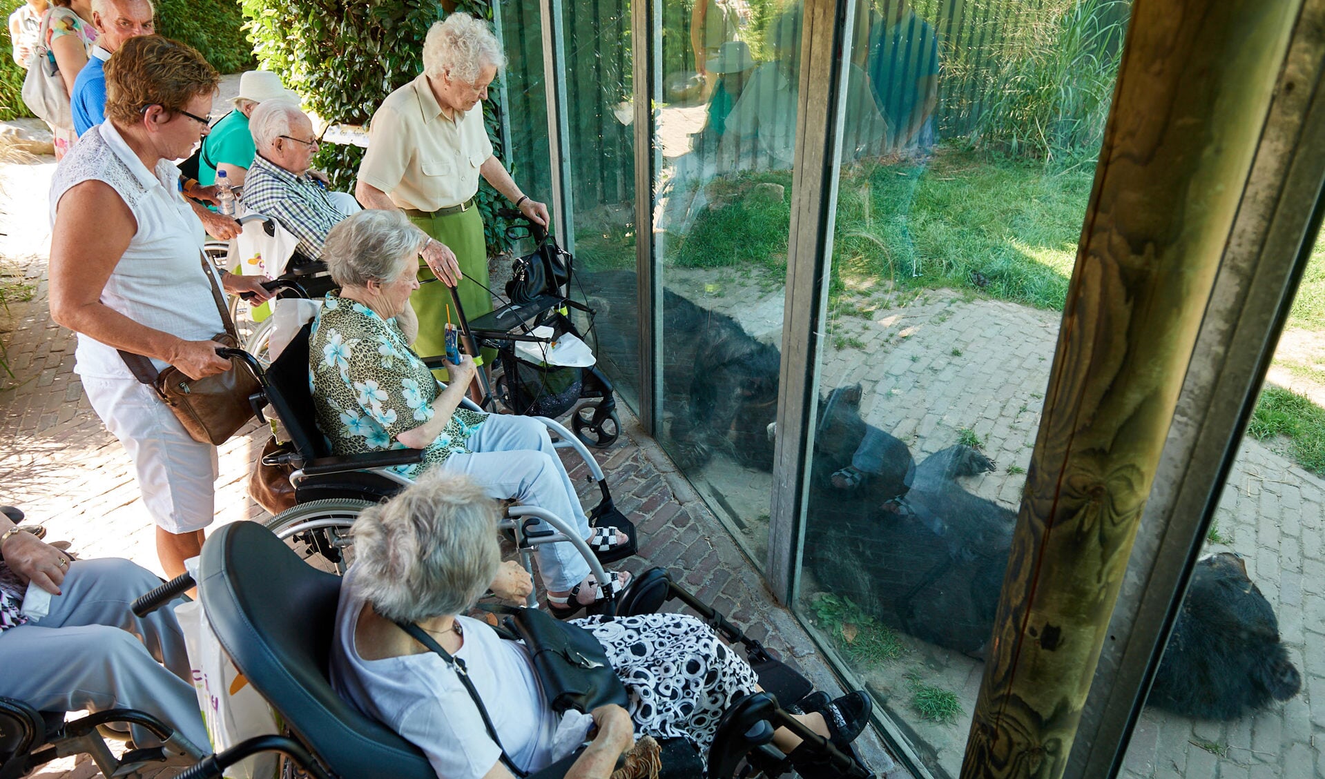 Uitstapje Vrienden van Berkenstaete naar Dierenrijk.