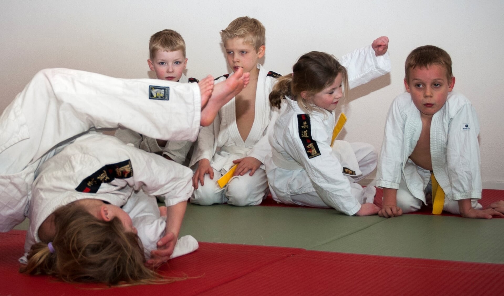 Judo bij SonSport (archieffoto)