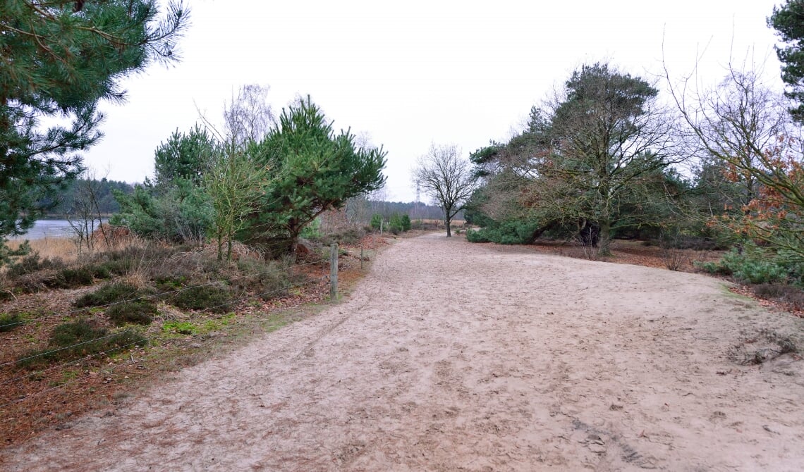<p>Oud Meer (archieffoto)</p>