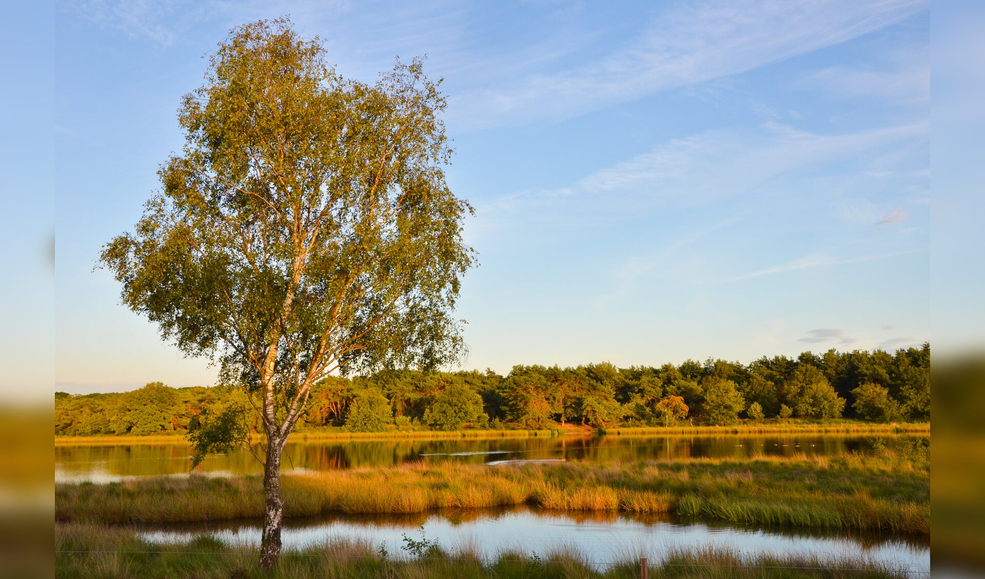 herfstfoto oude meer Son en Breugel