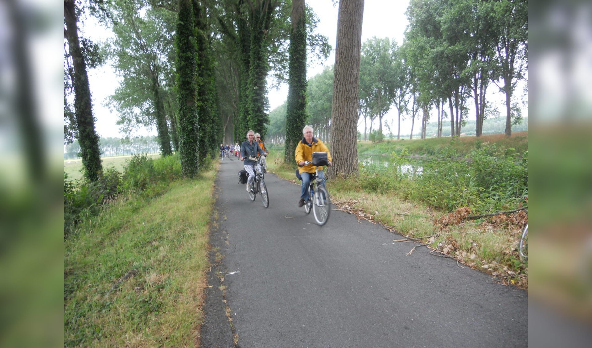 Op de fiets van Sluis naar Brugge.