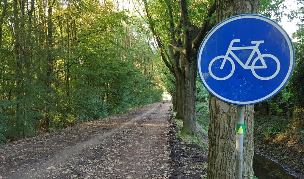 het verdwenen fietspad Bijenlaan achter de Alpenlaan