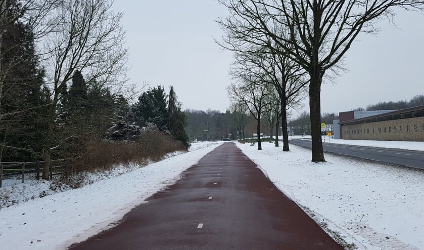 Fietspad Rooijseweg (archieffoto) | Fotonummer: 3b5ba9