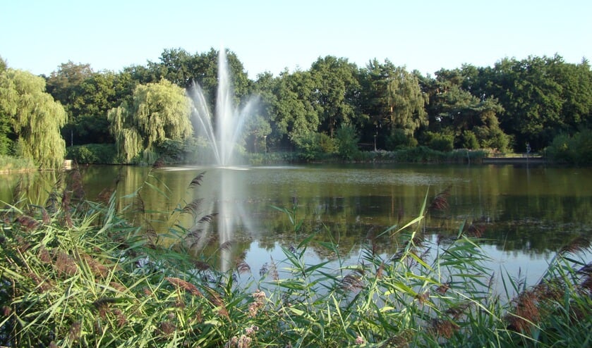 Fontein bij vijver in Son en Breugel | Fotonummer: f743de