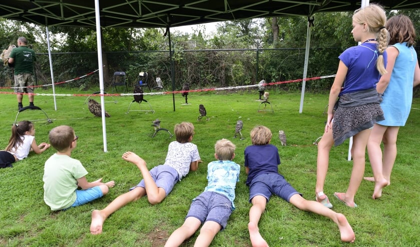Archieffoto 2018: Kindervakantieweek | Fotonummer: 67326c