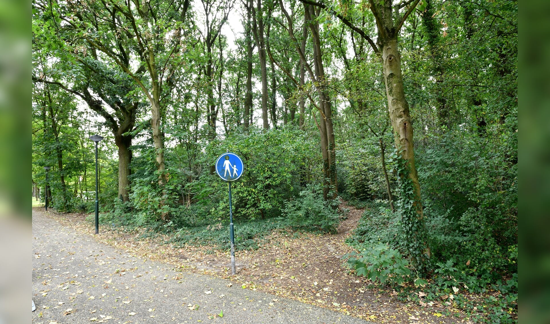 Bosjes tussen de Rabobank en sporthal De Bongerd aan de Astroïdenlaan in Son en Breugel