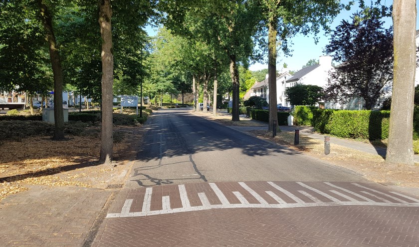 De Boslaan | Fotonummer: f0c306