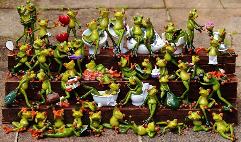 Verzameling kikkers (foto ter illustratie) | Fotonummer: b418a5
