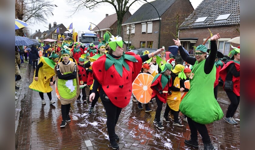 Carnavalsoptocht 2019 (archieffoto) | Fotonummer: e3cd5a
