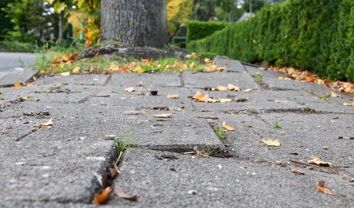 <p>Losliggende tegels op de stoep in de Van den Elsenstraat (foto ter illustratie)</p>