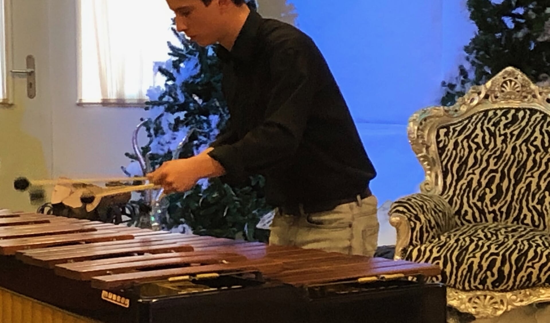Bram Helvoirt op marimba