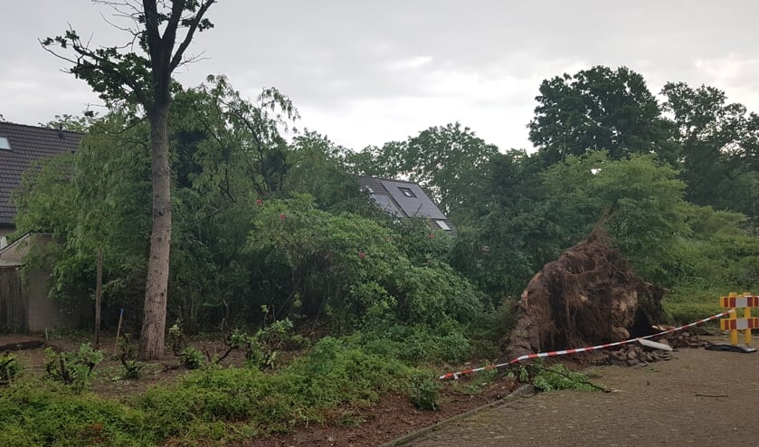 Schade bij een eerdere storm in Son en Breugel in juni 2019 | Fotonummer: a59cab