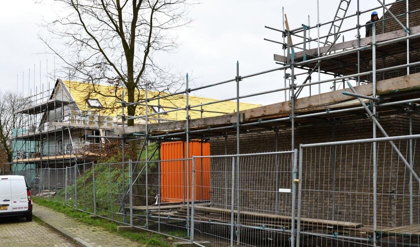 De enige boom die nog is blijven staan op de bouwlocatie | Fotonummer: 4d0a8e