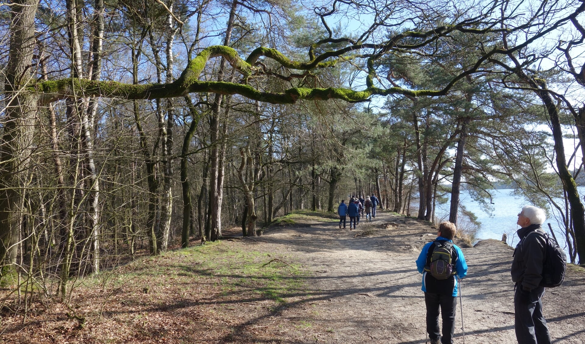 La Sonnerie organiseert in samenwerking met kookclub 'Cuisine La Sonnerie', een culinaire wandeltocht (foto ter illustratie)