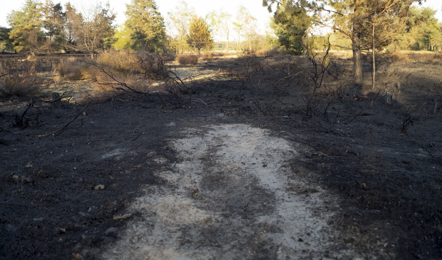 Beelden van de brand op de Sonse  Heide in Son en Breugel