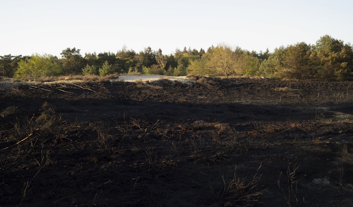 Beelden van de brand op de Sonse  Heide in Son en Breugel