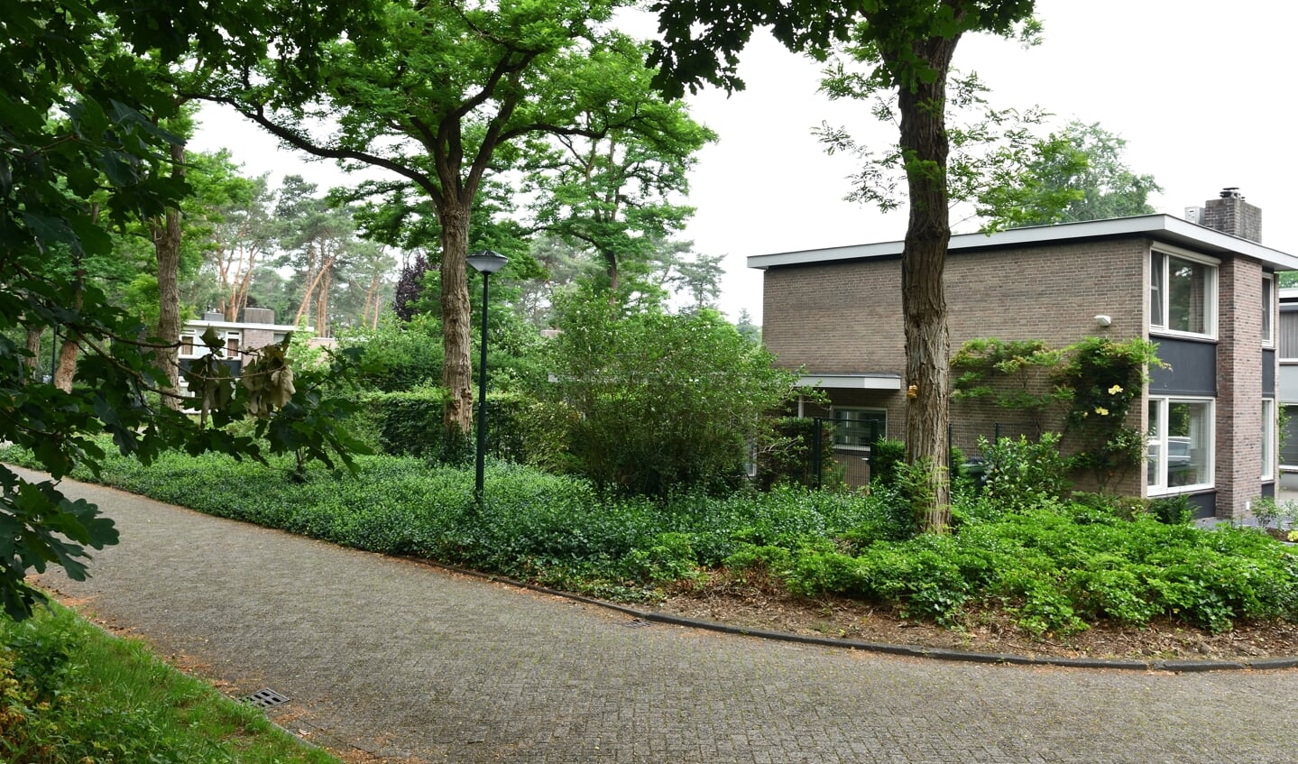Een voorbeeld van een stuk groen in een straat die bijvoorbeeld geadopteerd kan worden (archieffoto)