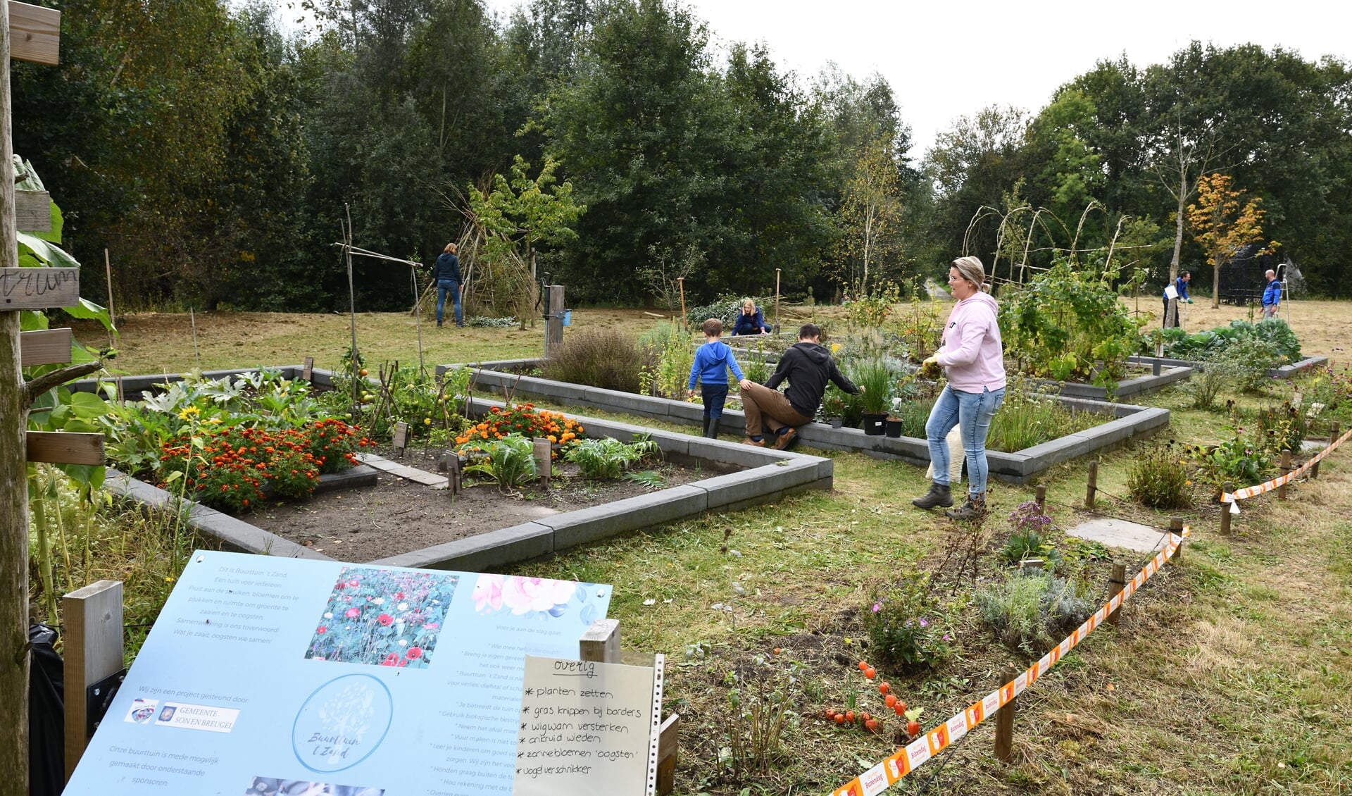 De vrijwilligers zijn regelmatig aan het werk in Buurttuin 't Zand (archieffoto)