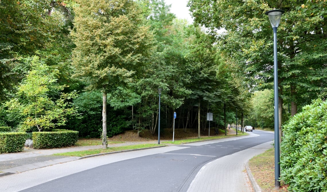 Een onoverzichtelijke situatie waar de fietsers voorrang hebben op het verkeer dat op de Hendrik Veenemanstraat rijdt