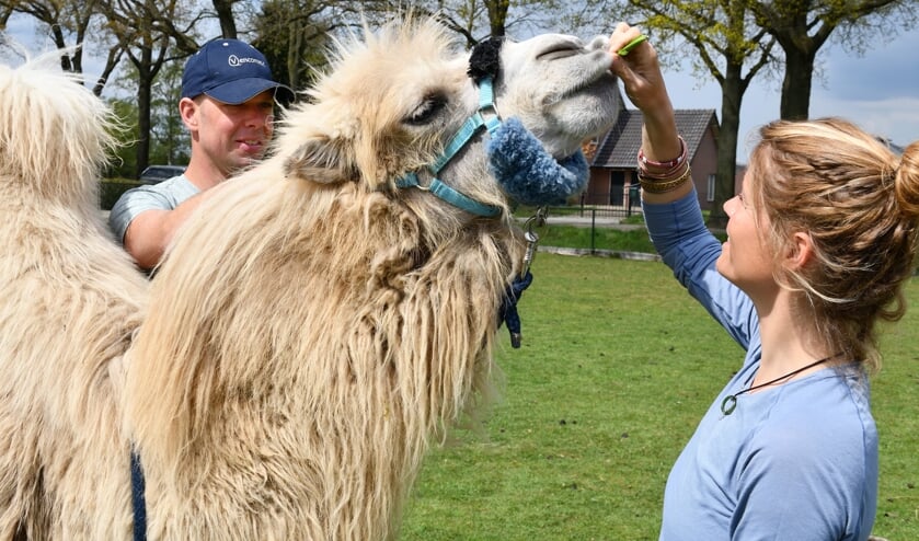Tamar Valkenier met haar kameel Einstein