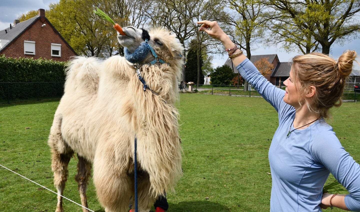 Tamar Valkenier met haar kameel Einstein