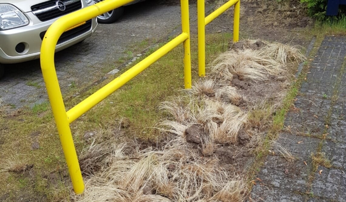 <p>Hoog gras dat blijft liggen nadat het losgeschoffeld is</p>