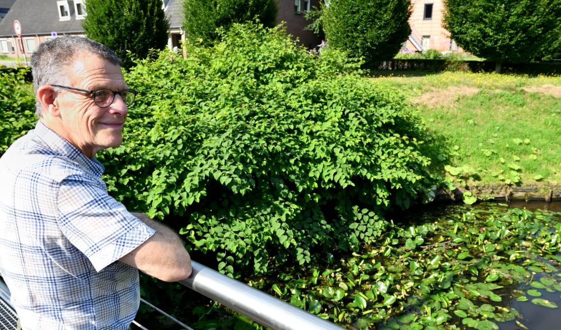<p>Help Joep mee om de Japanse duizendknoop een kopje kleiner te maken (archieffoto)</p><p><br></p>